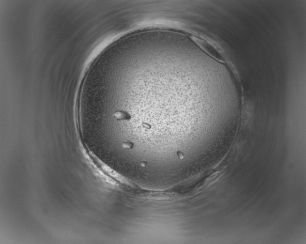 X0000078021199200611031448