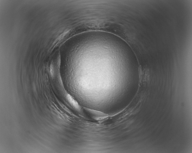 X0000078021202200611031447