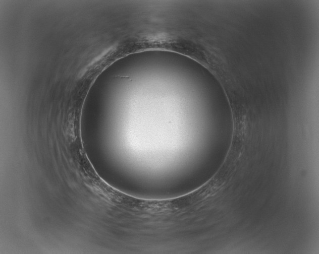 X0000078021205200611031447