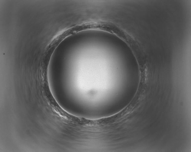 X0000078021206200611031447