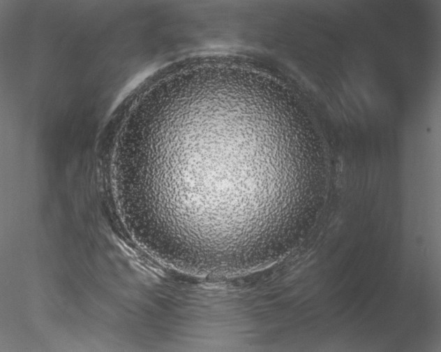 X0000078021208200611031447