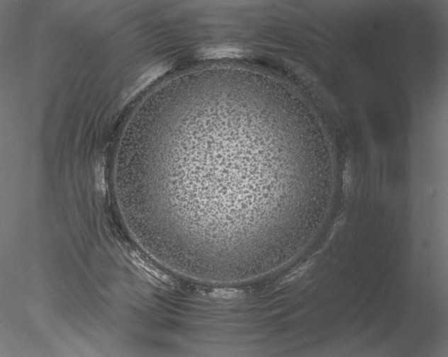 X0000078021209200611031447