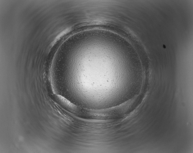 X0000078021210200611031447