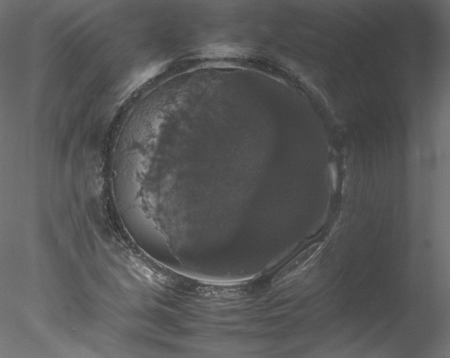 X0000078021213200611031447