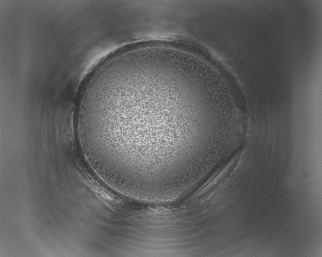 X0000078021214200611031447