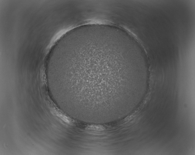 X0000078021215200611031447