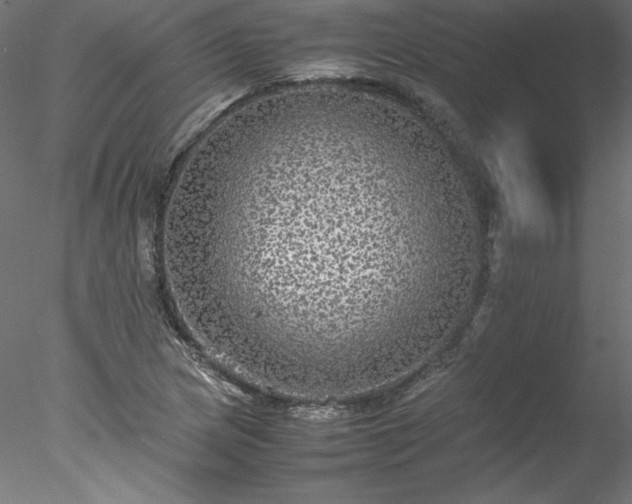 X0000078021217200611031447