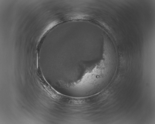 X0000078021219200611031447