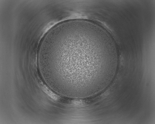 X0000078021220200611031447