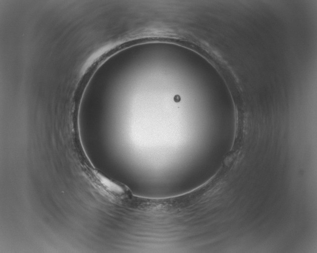 X0000078021222200611031447