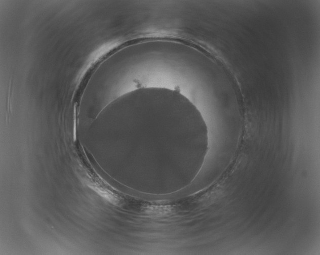 X0000078021223200611031447