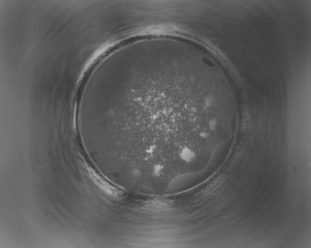 X0000078021224200611031447