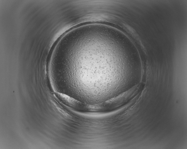 X0000078021226200611031447