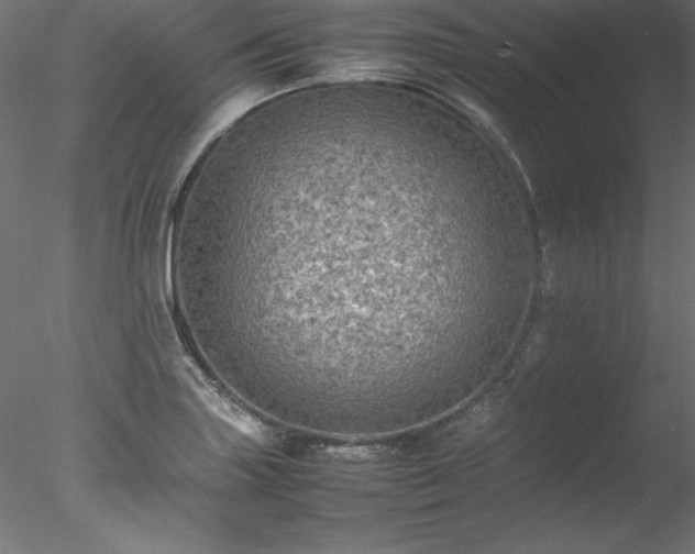 X0000078021227200611031447