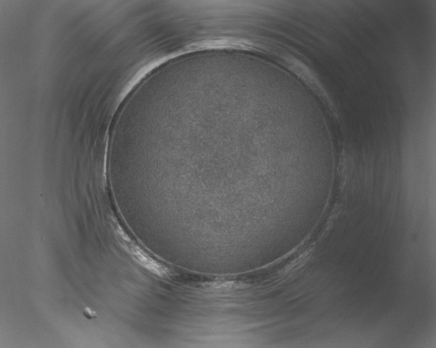 X0000078021228200611031447