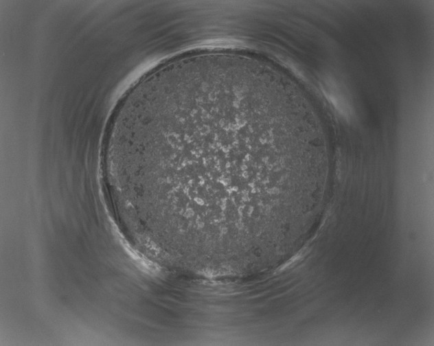 X0000078021229200611031447