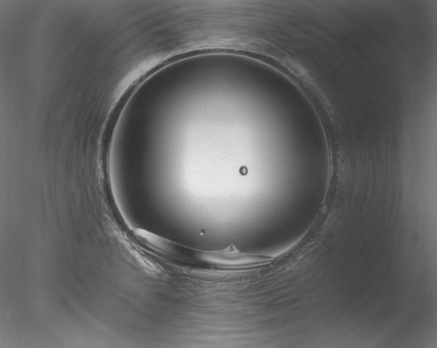 X0000078021230200611031447