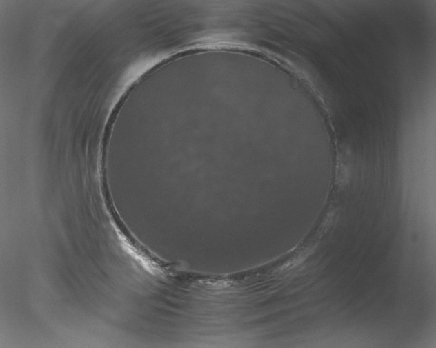 X0000078021231200611031447