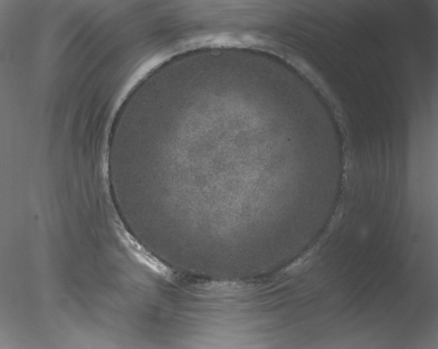 X0000078021232200611031448