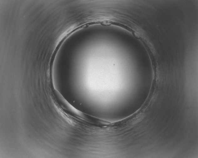 X0000078021234200611031448