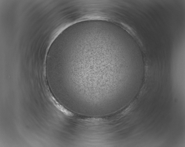 X0000078021236200611031448