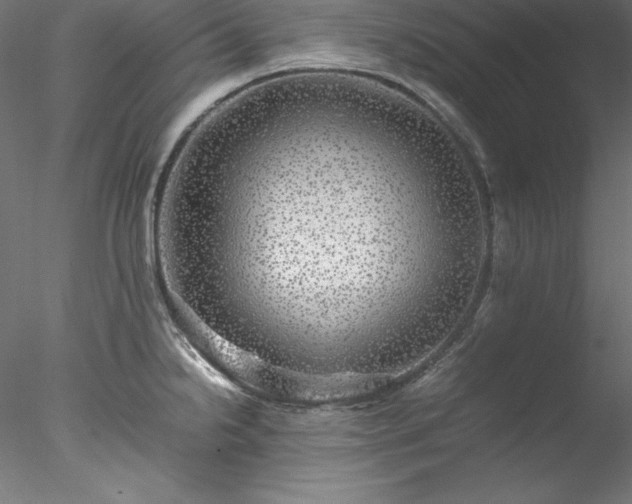 X0000078021238200611031448