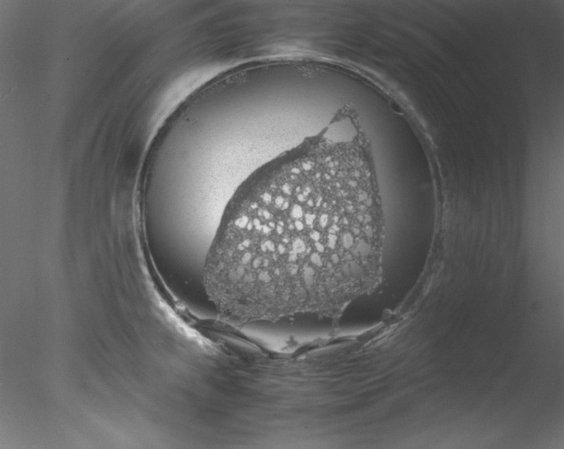 X0000078021239200611031448