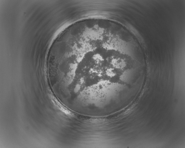 X0000078021240200611031448