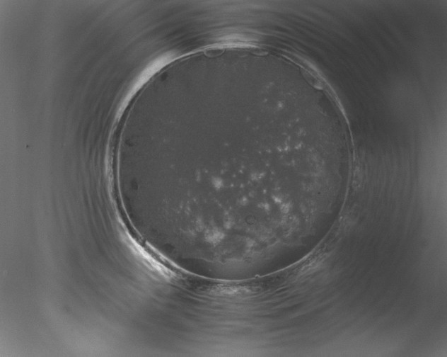 X0000078021243200611031448