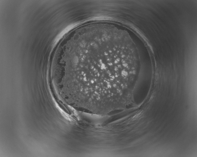 X0000078021245200611031448