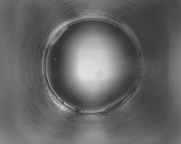 X0000078021246200611031448