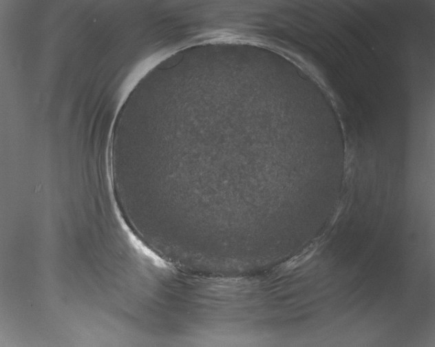 X0000078021247200611031448