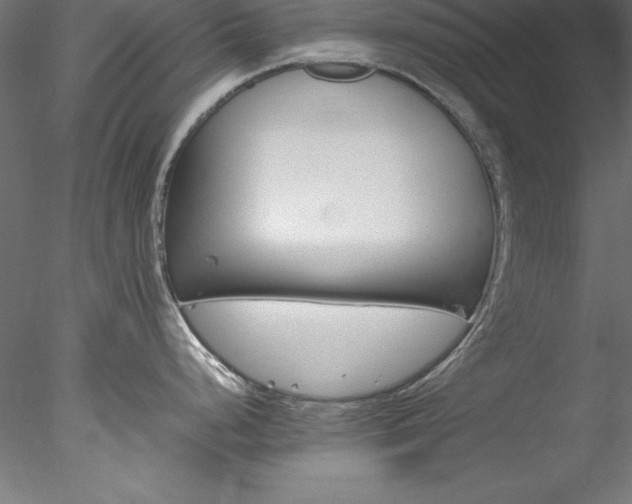 X0000078021248200611031448