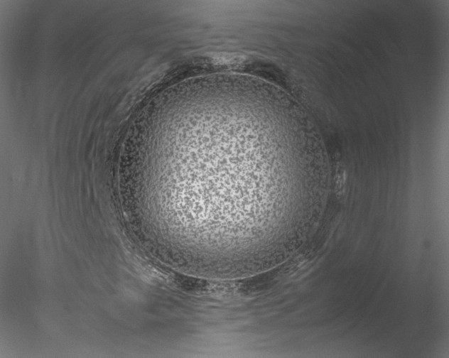 X0000078021249200611031447