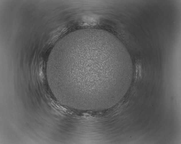 X0000078021250200611031447