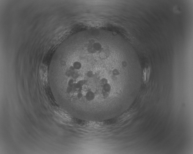 X0000078021251200611031447