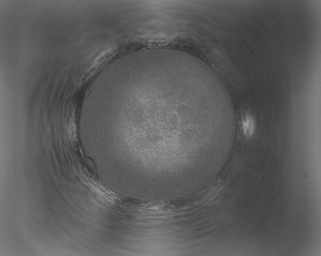 X0000078021252200611031447