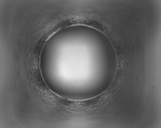 X0000078021253200611031447