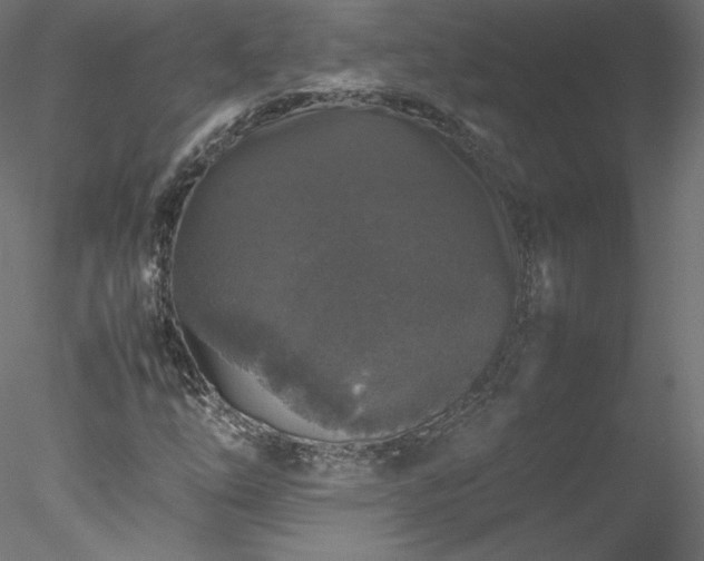 X0000078021254200611031447