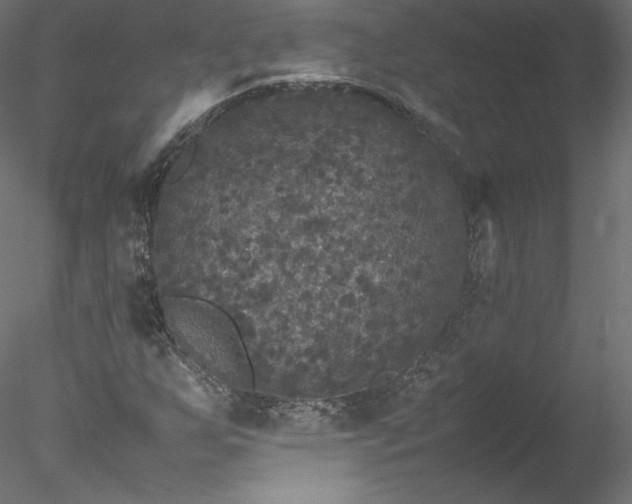 X0000078021255200611031447