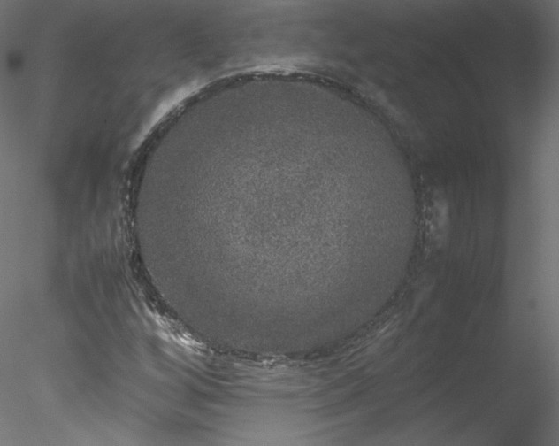 X0000078021256200611031447