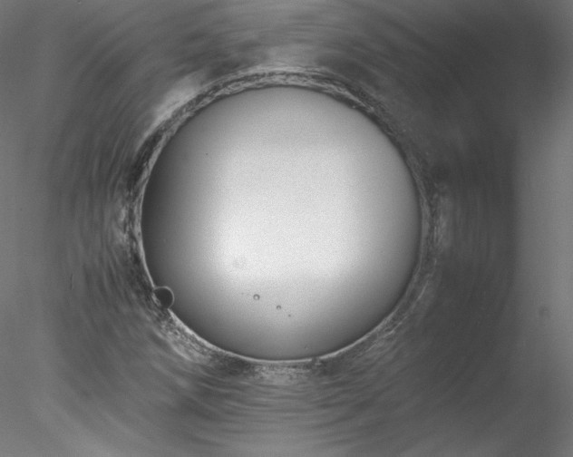 X0000078021258200611031447