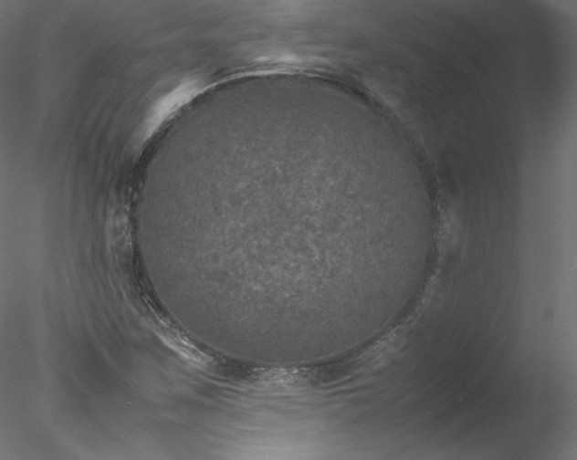 X0000078021259200611031447