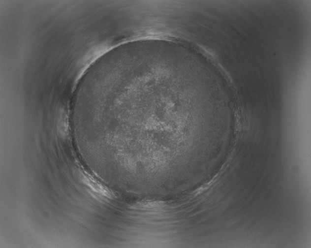 X0000078021260200611031447