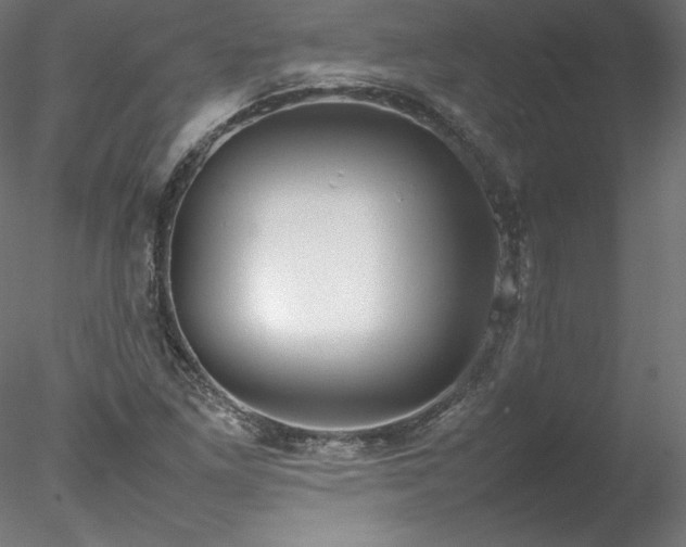 X0000078021261200611031447