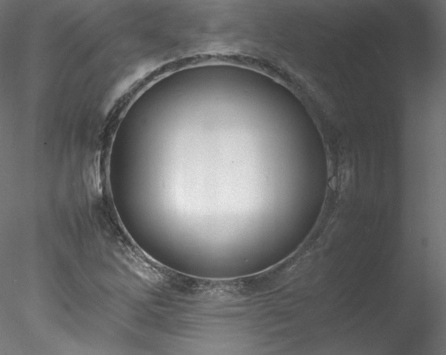 X0000078021262200611031447