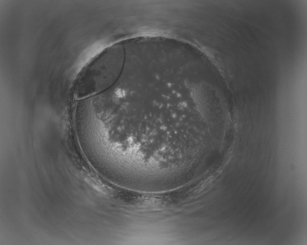 X0000078021263200611031447