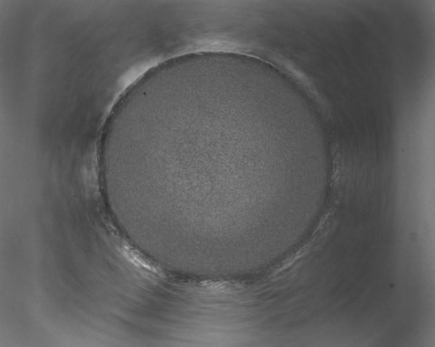 X0000078021264200611031447