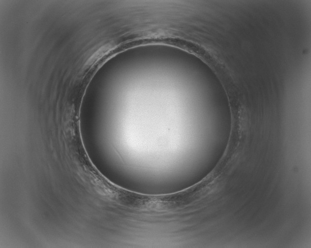 X0000078021265200611031447