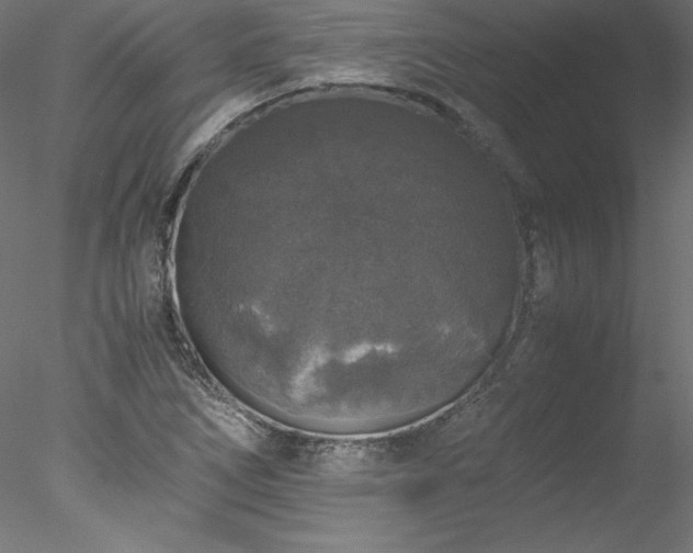 X0000078021266200611031447